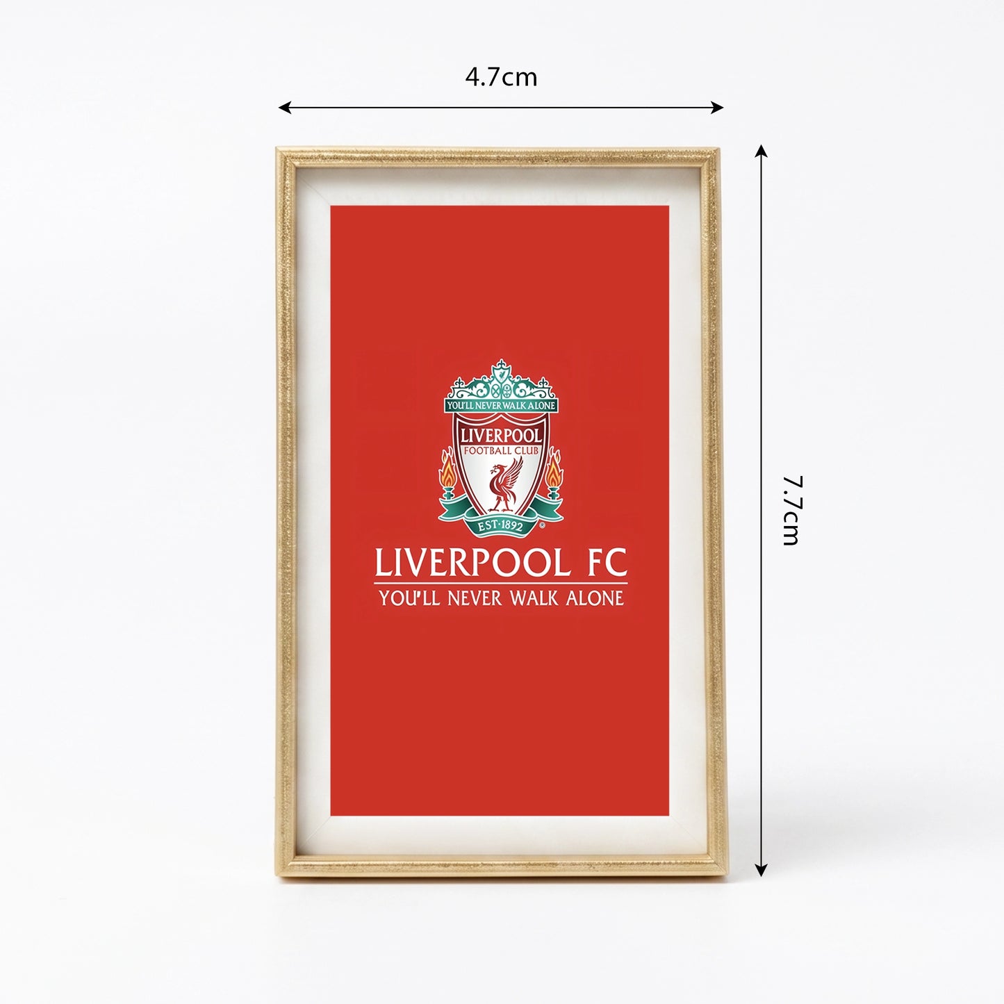 Liverpool Mini Art Frame